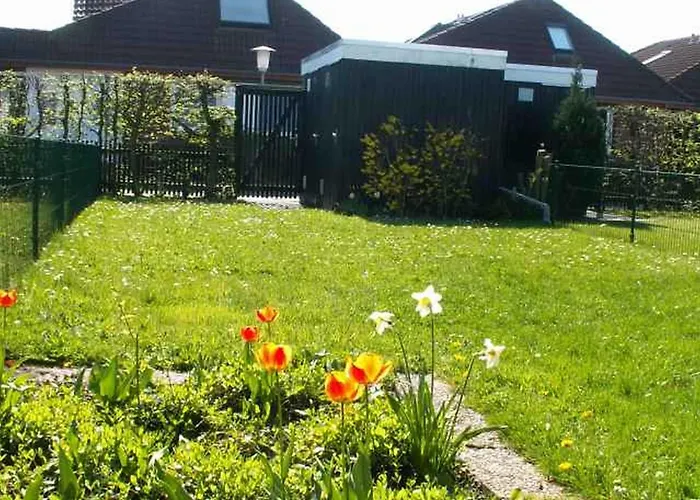 Daire Strandmuschel Schillig